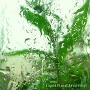 Liquid Planet Recordings - Focus Rain On Shore