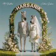 M.Hustler, Color Zebra - Harsanik (Extended Mix)