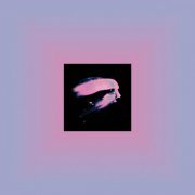 Hoavi - Flay