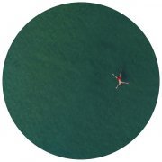 Youandewan - Dolphin Splash Keyboards