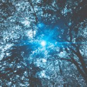 Aura BAE, Seamoon, Ekki - Komorebi 木漏れ日