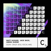Matt Sassari, Jack Back, David Guetta, Amira Eldine - Goin' Crazy (Full Vocal Mix)