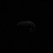 Danny Farro - DIFFERENT