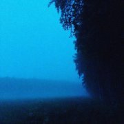 Money Flip - after the rain