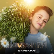 - Ромашки