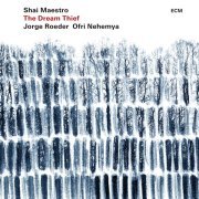 Shai Maestro - My Second Childhood