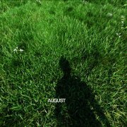 Timis - AUGUST