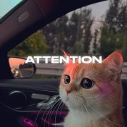 Rendow, ISVNBITOV - Attention