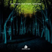 Arctic Pulse, Hard Stones - Terror Beat (Ultra Progressive Mix)