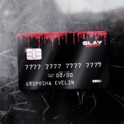 Госпожа Эвелин - Лудик