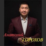Анатолий Горохов