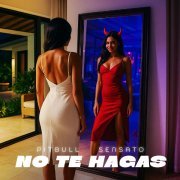 Pitbull - No Te Hagas