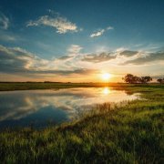 Money Flip, LIBERTYFOREAL - sunrise