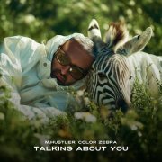 M.Hustler, Color Zebra - Talking About You