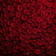 Lkn - Миллионы алых роз