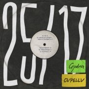 25/17, Gydra, CVPELLV - ЧБ (dnb remix)