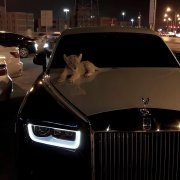 DXNKXR, SH3TLVIZ - Warm Glow of the Past Dreams