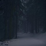 АДЛИН, Килджо - Зима