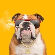 ABOUT THAT, Evalina - Who Let The Dogs Out (feat. EVALINA)