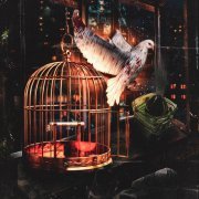 CODE80, молодой калуга - BIRD