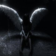 Kute - velour wings