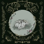 Baby Bugs - Bible Belt