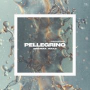 Dinamixx, Max N - Pellegrino (Cold Blood)
