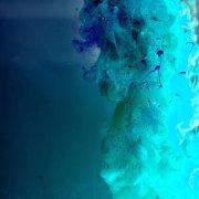 The Future Sound of XYZ - Catch the Breeze