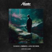 D.HASH, DØMIEX, ILYA SECHKIN - Lost in a loop