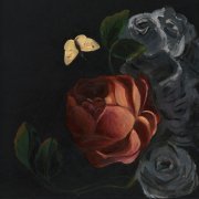 ДОЧЬ - Спалила цветы (Квартал) (Cover)