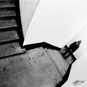 коллектив - назад