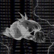 Hikigaya, Gull115 - Russian Phonk