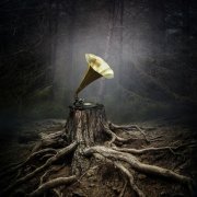 Аквариум - Bernie and Ciaran