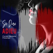 Flying Decibels, Pokaraet - Se Dire Adieu