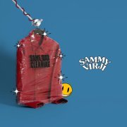 Flow Dan - Same Day Cleaning