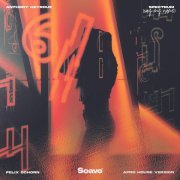 Anthony Keyrouz, Felix Schorn - Spectrum (Say My Name) (Afro House Version)