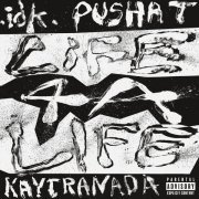 Pusha T, Idk - LiFE 4 A LiFE