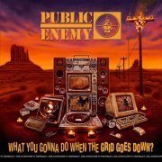 Public Enemy, Ice-T, PMD - Smash The Crowd
