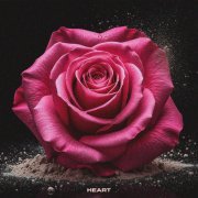 Dinamixx - Heart