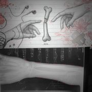 впустоте, казу, Violetta Sokolova - кости