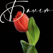 musica di strada - Балет