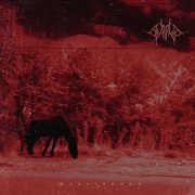 Supruga - Парасомния