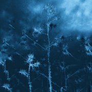 DJ Monsy, genotauz - Nanana