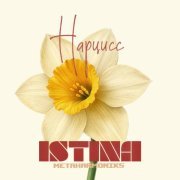 ISTINA, Metaharmoniks - Нарцисс