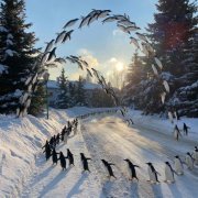 Blago White, КАМЕО - Просто уснуть