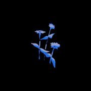 Nikitata - PEOPLE LOVE (Eyfect Remix)