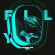 Ivan Valeev - FLY