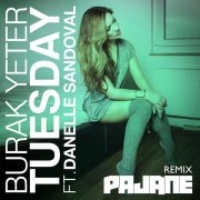 Burak Yeter, Danelle Sandoval - Tuesday (PAJANE Remix / Extended Mix)