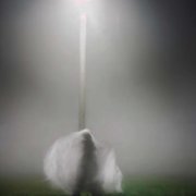 Sofia Fox - ветром стать