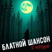 Сергей Наговицын - Блатной шансон в натуре